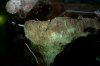 DSC_9089.jpeg