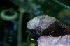 DSC_9090.jpeg