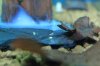 k-IMG_0784.JPG