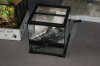 DSC01935.JPG
