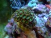DSCF7034.jpg