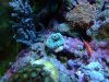 DSCF7036.jpg