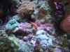 DSCF7041.jpg