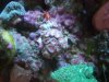 DSCF7045.jpg