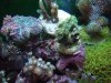 DSCF7050.jpg