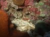 DSCF7084.jpg