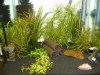 Bild_0033.JPG