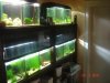 Aquariumregal 003.jpg