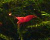 DSC00126.JPG