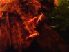 DSC00042.JPG