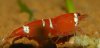 DSC_0844a.jpg