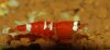 DSC_0852a.jpg