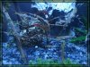 comp_DSC01872.jpg