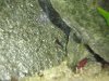 2010.03.15. 001.JPG