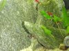 2010.03.15. 002.JPG