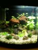 Unser 20l Cube.jpg