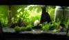 DSCN2554kl.JPG