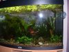 Juwel 2010 001.JPG