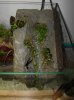 100_2250.jpg