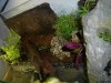 100_2251.jpg