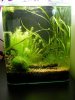 Dennerle30l Pic^^.jpg