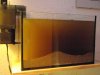2010.01.12.005.jpg