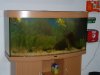Juwel 2010 004.JPG