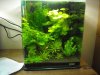 Aquarium_003_800x600.jpg
