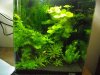 Aquarium_002_800x600.jpg