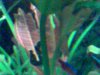 Bild014.jpg