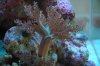 DSC_2165a.jpg