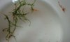 DSC07772_small.jpg