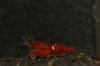 IMG_0836_1.jpg