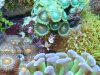 sexy shrimp2.jpg