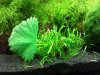 2010-04-29 16.07.46_1024x768.jpg