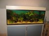Aquarium 300 Liter 13.JPG