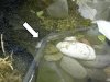 DSCN2959kl.JPG