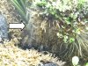 DSCN2960kl.JPG