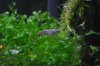 DSC_0021a.jpg
