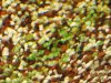 DSCN0840.JPG