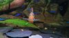 DSC00417.JPG