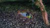 DSC00424.JPG