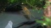 DSC00512.JPG