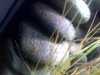 20052010025.jpg
