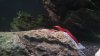 DSC00469.JPG