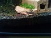DSC00728.jpg