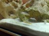 150420103307.jpg