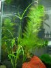DSCN4970.JPG