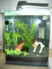 DSCN4953.JPG
