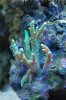 DSC_1739.JPG